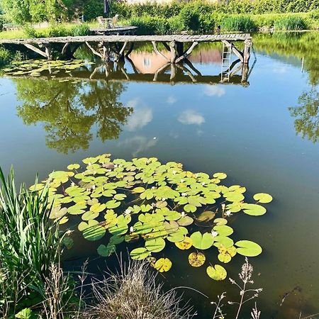 Agroturystyka Leszczynowy Dworek Ponikwa  エクステリア 写真
