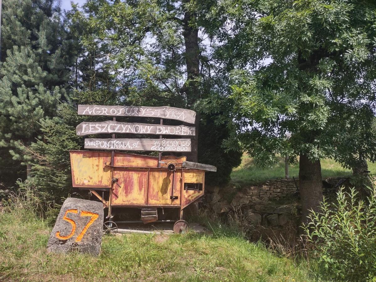 Agroturystyka Leszczynowy Dworek Ponikwa  エクステリア 写真